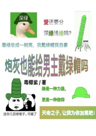 炮灰男朋友是什么意思